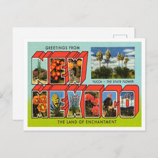 ニューメキシコヴィンテージ旅行からの挨拶 ポストカード (正面/裏面)