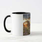 ニューメキシコ古い教会 マグカップ (左)