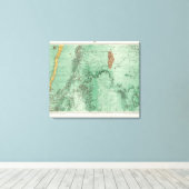 ニューメキシコ土地分類図2 キャンバスプリント (インサイチュ (ウッドフロア))