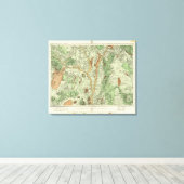 ニューメキシコ土地分類地図 キャンバスプリント (インサイチュ (ウッドフロア))