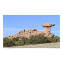 ニューメキシコ州のキャメルロック