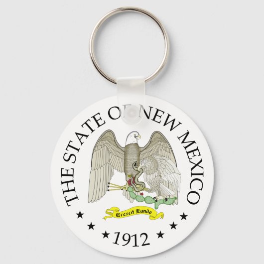 ニューメキシコ徴候 キーホルダー (正面)