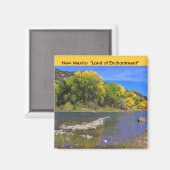 ニューメキシコ磁石 マグネット (正面/裏面)