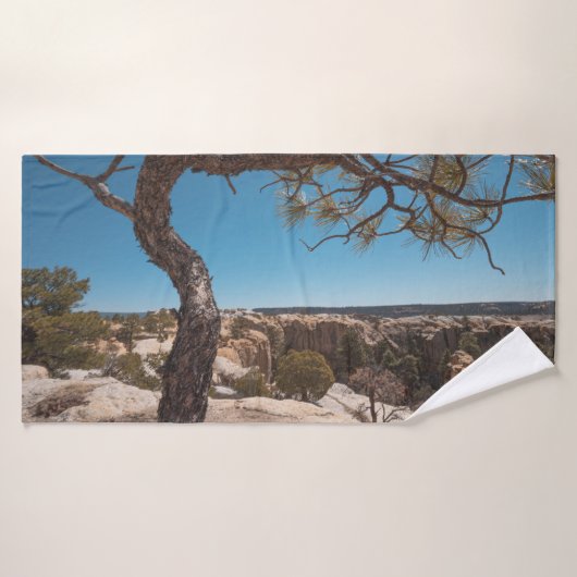 ニューメキシコ自然写真 バスタオル (バスタオル)