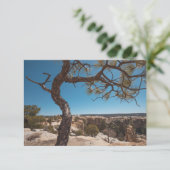 ニューメキシコ風景写真カード (スタンド正面)