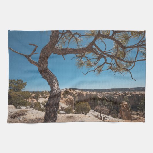 ニューメキシコ風景写真 キッチンタオル (横)