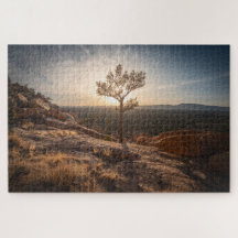 ニューメキシコ風景写真