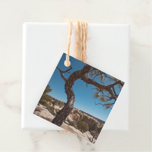 ニューメキシコ風景写真 フェイバータグ (インサイチュ)