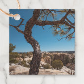 ニューメキシコ風景写真 フェイバータグ (正面)