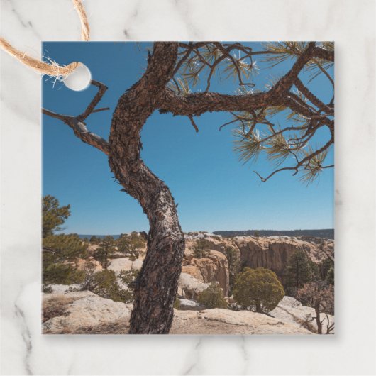 ニューメキシコ風景写真 フェイバータグ (正面)