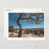 ニューメキシコ風景写真 ポストカード (正面/裏面)
