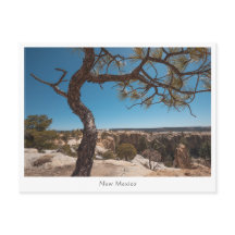 ニューメキシコ風景写真