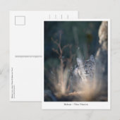 ニューメキシコ風景写真 ポストカード (正面/裏面)