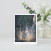 ニューメキシコ風景写真 ポストカード (スタンド正面)