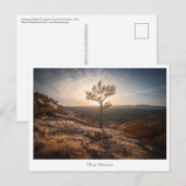 ニューメキシコ風景写真 ポストカード (正面/裏面)