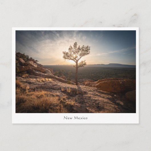 ニューメキシコ風景写真 ポストカード (正面)