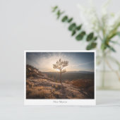 ニューメキシコ風景写真 ポストカード (スタンド正面)