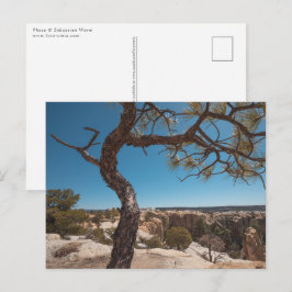 ニューメキシコ風景写真 ポストカード