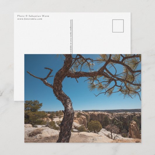 ニューメキシコ風景写真 ポストカード (正面/裏面)