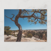 ニューメキシコ風景写真 ポストカード (正面)