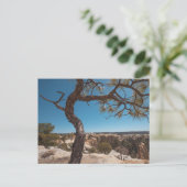 ニューメキシコ風景写真 ポストカード (スタンド正面)