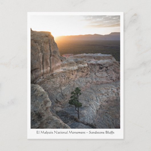 ニューメキシコ風景写真 ポストカード (正面)