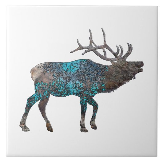 ニューメキシコ，エルクトーキングキャニオンズ タイル (正面)