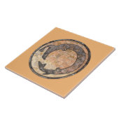 ニューメキシコ、カニョン語の蛇口を語るミンブレス タイル (側面)