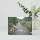 ニューメキシコ、サンタフェ国有林ペコス川 ポストカード (スタンド正面)