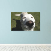 ニューメキシコ，サンタフェ キャンバスプリント (インサイチュ (ウッドフロア))