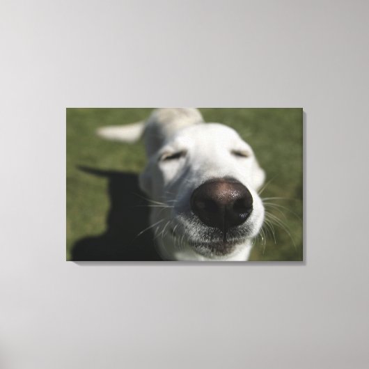 ニューメキシコ，サンタフェ キャンバスプリント (正面)