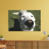 ニューメキシコ，サンタフェ キャンバスプリント (インサイチュ (リビング))