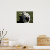 ニューメキシコ,サンタフェ ポスター (キッチン)