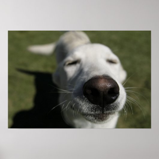 ニューメキシコ,サンタフェ ポスター (正面)