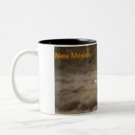 ニューメキシコ ツートーンマグカップ
