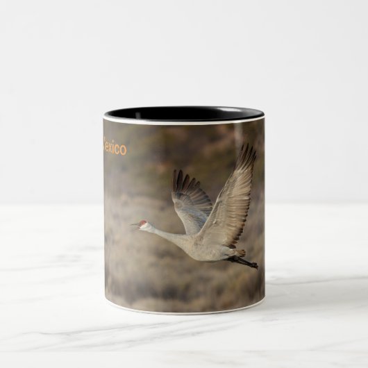 ニューメキシコ ツートーンマグカップ (中央)