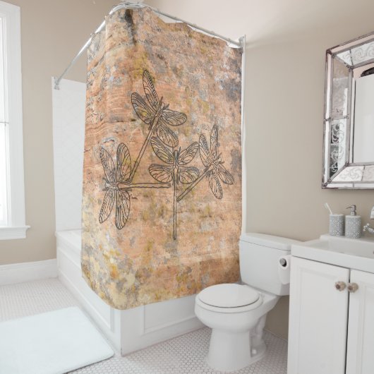 ニューメキシコ、トンボ語の峡谷 シャワーカーテン (インサイチュ)