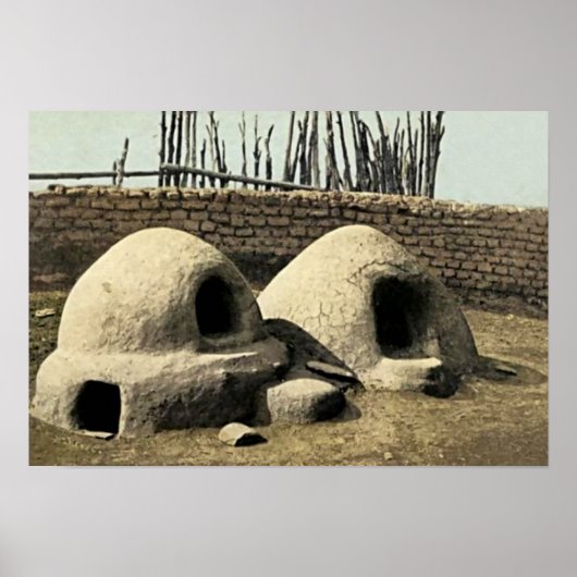 ニューメキシコ ポスター (正面)