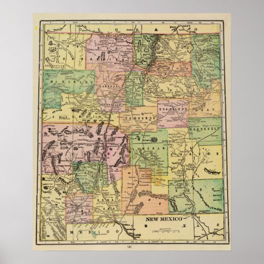 ニューメキシコ ポスター (正面)