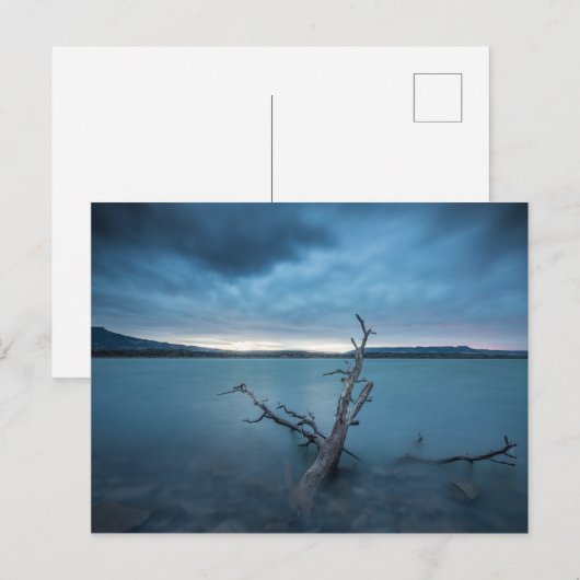 ニューメキシコ ポストカード (正面/裏面)