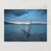 ニューメキシコ ポストカード (正面)