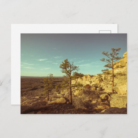 ニューメキシコ ポストカード (正面/裏面)