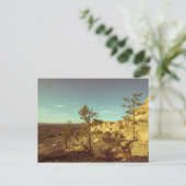 ニューメキシコ ポストカード (スタンド正面)