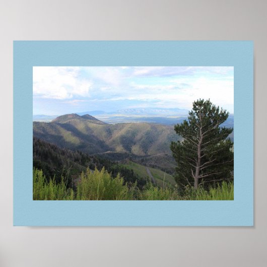 ニューメキシコ、ルイドソ ポスター (正面)