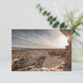 ニューメキシコ – 米国 (スタンド正面)