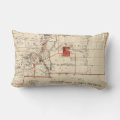 ニューメキシコ(1882年)のヴィンテージの地図 ランバークッション (裏面)