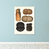 ニューメキシコ、XIX石器 キャンバスプリント (インサイチュ (ウッドフロア))