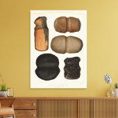 ニューメキシコ、XIX石器 キャンバスプリント (インサイチュ (リビング))