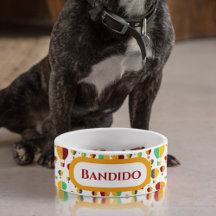 ニューメキシコZia熱気球