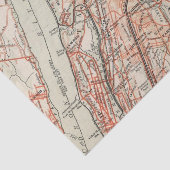 ニューヨークおよびコネチカット3の自転車の道 薄葉紙 (詳細)